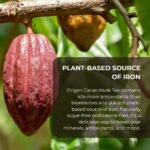 Origen Cacao Husk Tea – 100% Natural Cacao Shell – Zero Sugar, Caffeine-Free Superfood – Healthy Chocolate Tea Alternative to Coffee – Rich in Antioxidants & Iron - Image 5