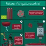Vegavero Organic Astaxanthin 8 mg | Natural Antioxidant Supplements | Highly Bioavailable | NO Additives, Lab-Tested | 60 Capsules | Vegan - Image 4