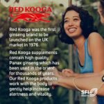 Red Kooga Ginseng Multivitamins and Minerals, with Vitamins B2, B6 and 12 and Niacin, Zinc and Iron, Pack of 32 Tablets - Image 3