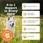 Zesty Paws 5in1 Multivitamins for Dogs | Supports Skin & Gut Health, Brain Function, Immune System, Physical Performance | With Vitamin A, B & C, Folic Acid, Biotin, L-Carnitine | Daily Use | 90 Chews - Image 4