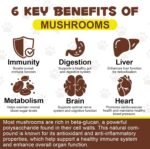 Mushroom Powder for Dogs & Cats,Natural Pet Supplement Mushroom Powder Support Gut Digestion,Boosting Immunity, Heart, Brain,Easy To Absorbed,Bacon Flavor - 4.23 oz(120g) - Image 3