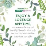 NaturesPlus Herbal Actives Immune Zinc Lozenges, Cherry Flavour - Chewable Zinc and Vitamin C Tablets with Olive Leaf, Elderberry and Vitamin D3 - Vegan, Gluten Free - 60 Chewables - Image 5