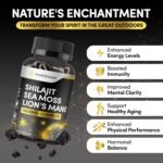 Sea Moss Shilajit Lion Mane 3 in One, with Added Ashwagandha and Black Pepper, 11500mg Superfood Blend for Vitality & Immunity, Energy and Brain Health - 120 Vegan Capsules by HealthEssent - Image 4