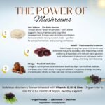 Kids Mushroom Gummies for Children – Lion’s Mane, Reishi, Chaga, Elderberry, Vitamin C, Zinc & D3 – Immune & Cognitive Support – Sugar Free – Vegan – 60 Gummies - Image 4