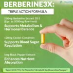 Berberine High Strength Supplement 5125mg | 90 Capsules One-Per-Day 3-Month Supply| 98% Pure Berberine HCL Capsules | Enhanced with Ceylon Cinnamon & Black Pepper | Zero Additives - Lab Tested - Image 4