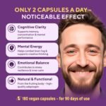 Lions Mane Mushroom Capsules 10 000mg – Highly Concentrated Extract Hericium Erinaceus 10:1 – Lab-Tested with Certificate Lions Mane Supplement – 180 Vegan Capsules - Image 4