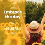 NEUBRIA Shine Mood Complex – Multivitamin for Adults with Ashwagandha, Rhodiola, Turmeric, B Complex Magnesium & Zinc - Potent Formula for Daily Wellness – 60 Vegan Capsules - Image 4