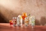 Smiling Wolf Feel Good Alcohol Alternative Ready to Drink G&T 8x250ml | Alcohol Free Cocktail | Mood Enhancing Natural Nootropics & Vitamins - Image 4