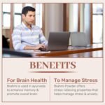 SAMYAM Brahmi Powder (Bacopa monnieri) - 500g Pack | for Memory, Intelligence and Concentration - Image 4