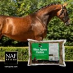 NAF Vitex Agnus Castus Powder 1kg – Natural Hormonal Support for Horses – Pure Chasteberry Supplement – Supports Behaviour, Hormone Balance & Seasonal Comfort - Image 4