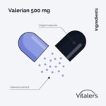 Vitaler's Valerian 500 mg - 60 Capsules, Vegan, 2 Months of Supplementation, No Preservatives, Pure Composition - Image 3