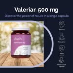 Vitaler's Valerian 500 mg - 60 Capsules, Vegan, 2 Months of Supplementation, No Preservatives, Pure Composition - Image 4