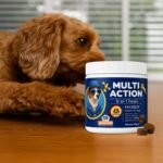 Dog Vitamins with DHA, Probiotics & CoQ10, Dog Supplements for 8-in-1 Multivitamin Treats, Complete Daily Wellness Supports Brain, Heart, Skin, Coat, Immunity, Digestion, Joints & Energy - Image 4