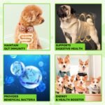 Probiotic For Dogs, 3-In-1 Probiotics Dogs Drops, with Prebiotic & Enzymes, Supports Gut Health, Immunity & Digestive Comfort, 60ml - Image 6