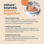 Seraquin Digest | 30 ml paste | Diarrhoea support | Healthy digestion | Probiotic and prebiotic | For dogs and cats - Image 4