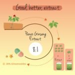 Vegavero Panax Ginseng | 4,800 mg (8:1 Extract) | with 20% Ginsenosides | NO Additives | 120 Vegan Capsules | Korean Red Ginseng - Image 4