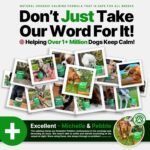 Dr Senst Dog Calming Tablets That Work To Calm Pet Anxiety, Stress, Fear, Separation, Barking, Hyperactivity, Reactivity, Aggression, Fireworks Natural Calming Treats For Dogs & Puppy | 120 Hemp Chews - Image 4