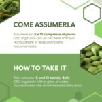 ERBOTECH, 800 BIO Chlorella Tablets, Pure Chlorella Algae Capsules in 200g Pack, Rich in Iron, Omega 3 and Vitamin B12, Gluten Free, Suitable for Vegetarians and Vegans - Image 4