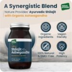 Ayurvedic Shilajit 1000mg & Organic Ashwagandha - 90 High Strength Caps, Fulvic Acid, Mineral Rich Supplement, Stress & Energy Support, Adaptogen, Vegan, GMO-Free, Made in UK by Nature Provides - Image 3