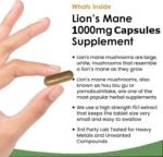 Organic Lion’s Mane Mushroom Supplement 10,000mg – 120 Vegan Capsules | High Strength Hericium Erinaceus Extract for Brain, Memory & Immune Support | Gluten, Dairy & Soy Free | UK Made - Image 5