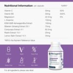 Metagenics Resilience - Supports Fatigue - with Ashwagandha, Ginseng, Lemon Balm + Mushroom Extracts with L-theanine & Vitamins - 60 Capsules - Image 3