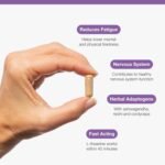 Metagenics Resilience - Supports Fatigue - with Ashwagandha, Ginseng, Lemon Balm + Mushroom Extracts with L-theanine & Vitamins - 60 Capsules - Image 4