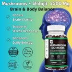 Aclla Mushroom Gummies with Shilajit – 10-in-1 Complex with Lion’s Mane, Reishi, Chaga & More – 2500mg – Brain, Energy & Immune Support – Vegan, Low Sugar, Non-GMO – 60 Raspberry Flavour - Image 4