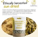 Irish Sea Moss Capsules | Organic Seamoss Herbal Supplements with Bladderwrack | Vegan Alternative to Sea Moss Gummies | High Strength 60 Capsules - Image 5