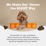 Zesty Paws 9 in 1 Multivitamins for Senior Dogs | Supports Joints, Skin, Eyes, Brain Function, Immune System, Urinary Tract, Heart & Gut Health| Vitamin A, B & C, Folic Acid, Biotin | 90 Chews - Image 5