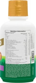 NaturesPlus Animal Parade Gold Liquid Multivitamin - Plant Based Kids' Vitamin and Mineral Complex, Natural Tropical Berry Flavour - Gluten Free, Vegetarian - 480ml - Image 3