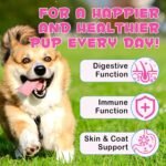 Collagen for Dogs – Herbal Liquid Supplement with Echinacea, Honeysuckle & Apple Cider Vinegar | Supports Normal Immune Function, Skin & Coat Condition, and Digestive Balance | 60ml - Image 4