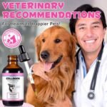 Collagen for Dogs – Herbal Liquid Supplement with Echinacea, Honeysuckle & Apple Cider Vinegar | Supports Normal Immune Function, Skin & Coat Condition, and Digestive Balance | 60ml - Image 5