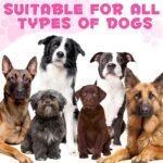 Collagen for Dogs – Herbal Liquid Supplement with Echinacea, Honeysuckle & Apple Cider Vinegar | Supports Normal Immune Function, Skin & Coat Condition, and Digestive Balance | 60ml - Image 7