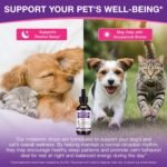 Melatonin for Dogs & Cats - Liquid Sleep Aid - Regulates Sleep, Reduces Anxiety & Stress from Fireworks, Travel, Separation, Dog Anxiety Relief - Natural Calming Supplement - 60mL Bacon Flavoured - Image 4