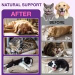 Melatonin for Dogs & Cats - Liquid Sleep Aid - Regulates Sleep, Reduces Anxiety & Stress from Fireworks, Travel, Separation, Dog Anxiety Relief - Natural Calming Supplement - 60mL Bacon Flavoured - Image 6