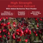 Berberine 2000mg (200mg 10:1 Extract) | 120 Capsules - 4 Month Supply | Metabolism, Blood Sugar & Weight Support | No Fillers or Binders | 3rd Party Tested | Made in UK - Image 5