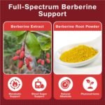 Berberine 2000mg (200mg 10:1 Extract) | 120 Capsules - 4 Month Supply | Metabolism, Blood Sugar & Weight Support | No Fillers or Binders | 3rd Party Tested | Made in UK - Image 6