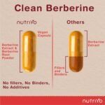 Berberine 2000mg (200mg 10:1 Extract) | 120 Capsules - 4 Month Supply | Metabolism, Blood Sugar & Weight Support | No Fillers or Binders | 3rd Party Tested | Made in UK - Image 7
