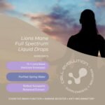 Lions Mane Full Spectrum Liquid Mushroom Drops Supplement, Super Strength 90,000mg (15:1), Increased Focus, Energy & Decreased Brain Fog, Natural & Suitable for Vegans - Image 4