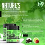 Elite Greens Powder - WOD Powders | 34 Vegan Superfoods - Natural Freeze-Dried Ingredients, Greens, Fruits, Berries, Vegetables, Prebiotics, Probiotics & Digestive Enzymes - 500g (Unflavoured) - Image 4