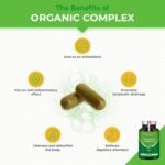 Organic Complex | Detox Supplement: Liver, Intestine & Colon | 100% Natural | Artichoke, Black Radish, Turmeric | Naturally Eliminates Toxins | High Dosage | 90 Vegetarian Capsules | French Expertise - Image 3