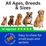 Advanced Dog Probiotics for Gut Health - Made in the UK - Pre, Post & Probiotic Treats - Dogs Digestive Health Sensitive Tums Support - All Breeds & Ages - Probiotics for Dogs (120 Ct, BBQ Pork) - Image 5