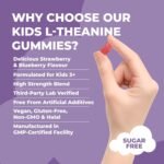 Kids L Theanine Gummies – 50mg with Magnesium Glycinate & Prebiotics to Improve Kids Concentration & Focus | Sugar-Free, Vegan & Chewable | Ages 3+ | Berry Flavour | 1 Month Supply - Image 5
