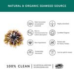 Organic Seaweed Iodine Supplement – Together Health – from Organic Seaweed – Natural Source of Iodine – Vegan Friendly – Made in The UK – 30 Vegecaps - Image 4