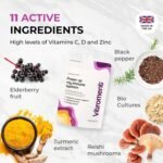 Gut Health and Immune Support Multivitamin & Probiotic Complex - Cognitive Support - with Reishi, Elderberry, Curcumin/Turmeric & Piperine, D3, Vitamin C & Zinc | Vegan, Made in The UK - Image 4