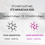 Bigger Pack, Better Value – 60‑Day Supply of Fast‑Absorbing Naticol® Marine Peptides (~2 kDa) – Collagen Supplements for Women with Hyaluronic Acid, Vitamins C & E, Biotin & Zinc - Image 3