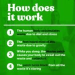 Nuubu Detox Foot Patches 10 Pcs Detox Foot Pads, Foot Detox Pads to Remove Toxins, Natural Deep Cleansing for Stress Relief & Deep Sleep, Enhance Blood Circulation - Image 4