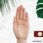 Panax Ginseng High Strength | 3000mg Korean Ginseng Tablets | 120 Vegan Tablets | Providing 60mg Ginsenosides | by Horbaach - Image 6