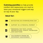 Rescue Remedy Pastilles | Mint & Apple Flavoured | Daily Support for Stressful Moments | Bach Original Flower Essences | Chewable Pastilles | 50g Travel Tin​ - Image 4