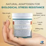 Physis Ashwagandha Tablets | 120 Vegan Tablets | 2000mg High Strength Ashwagandha Ksm 66 for Stress-Relief Support & Cognitive Functioning - Image 4